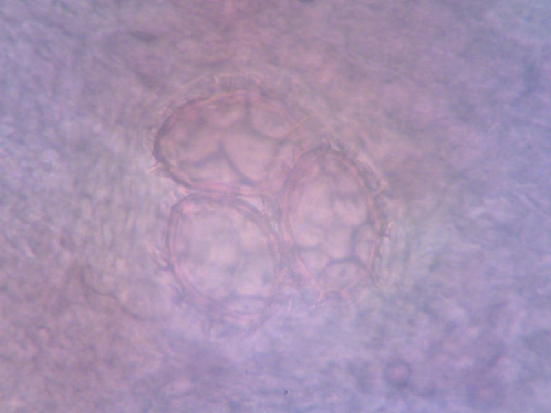 Photo from 2025-12-05 23-20-15.330142.jpeg