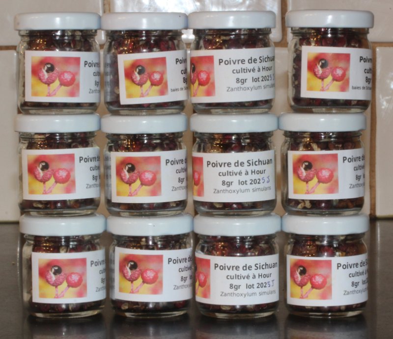 sichuan récolte.JPG