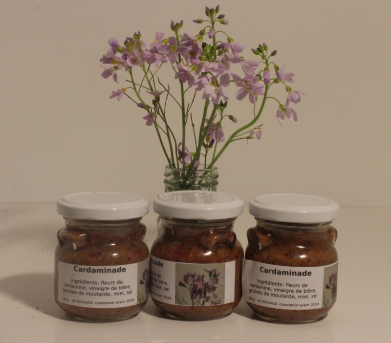 cardaminade_0112.JPG