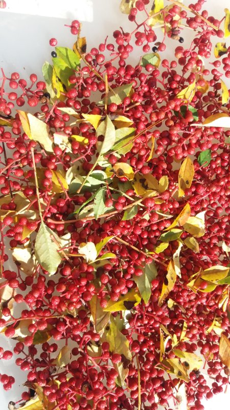 20181017_133400.jpg