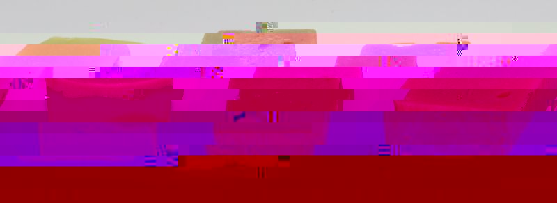 savons_9784.JPG