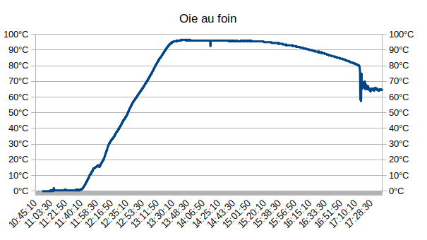 oie au foin.png