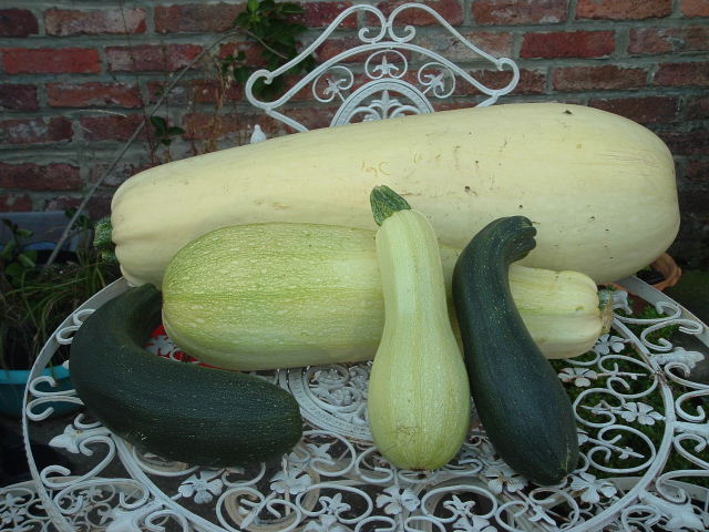 courgettes