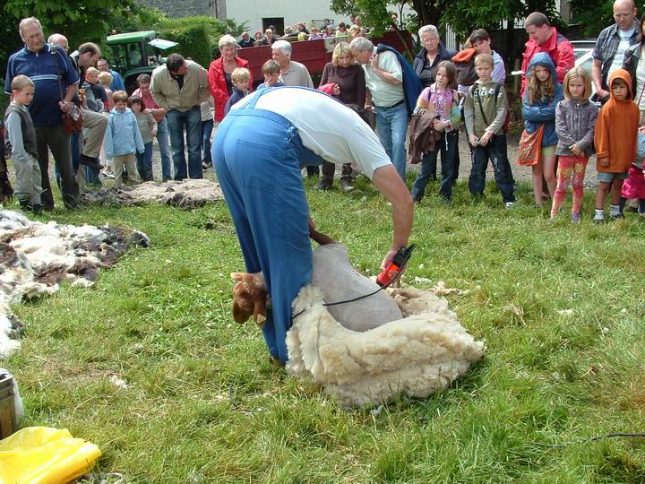 demonstration tonte5