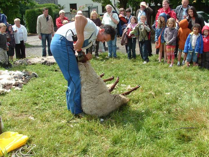 demonstration tonte3