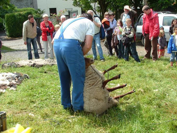 demonstration tonte2
