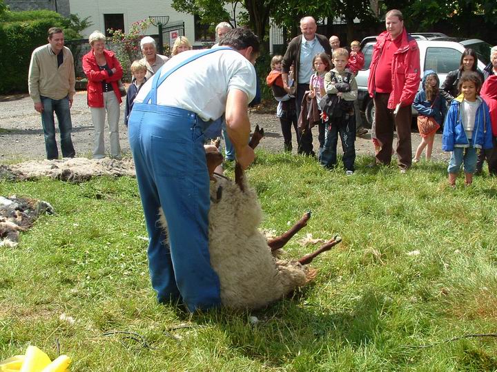 demonstration tonte
