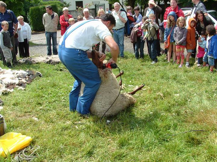 demonstration tonte4