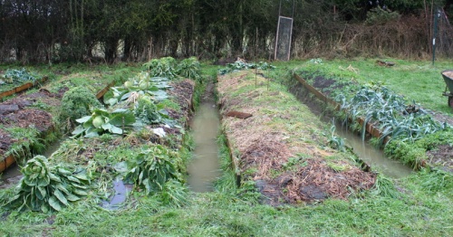 jardin inondé