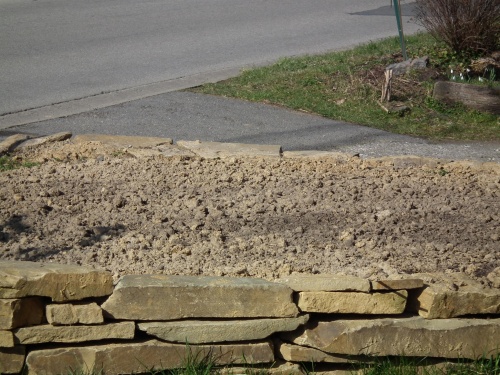 DSCF0188.JPG