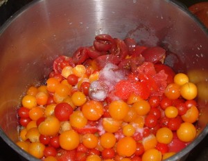 coulis tomate09_redimensionner